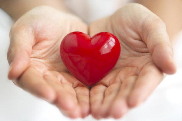 heart_1  H x W: