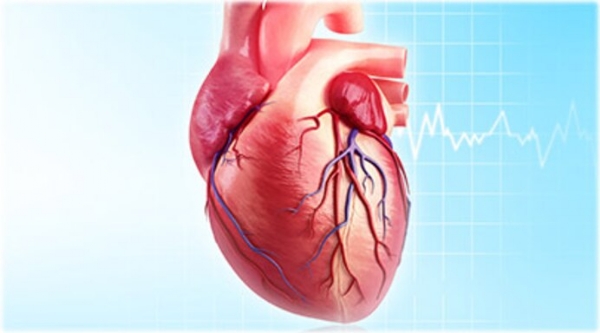 heart_1  H x W: