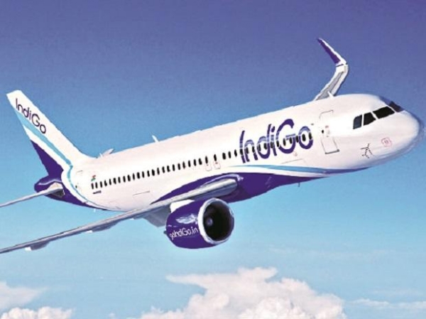 Indigo_1  H x W