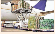 cargo_1  H x W: