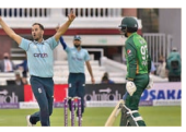 cricket_1  H x 