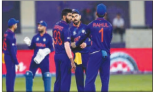 टी 20 विश्व कप के बाद भारतीय टीम न्यू जीलैंड जाएगी