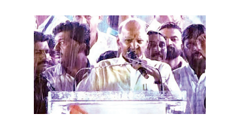 हम आसानी से हार नहीं मानते : शरद पवार