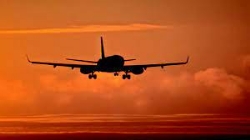 flight