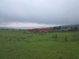 agri land