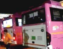 bus