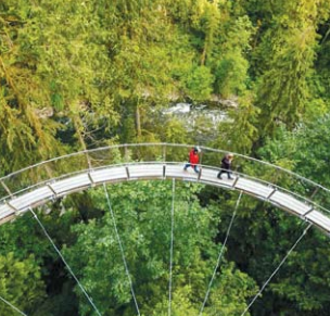 Bridge