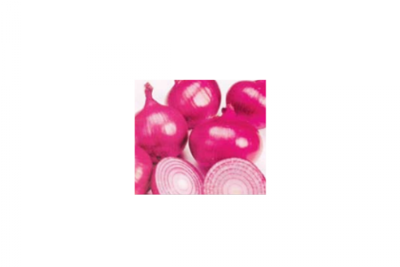 Onion