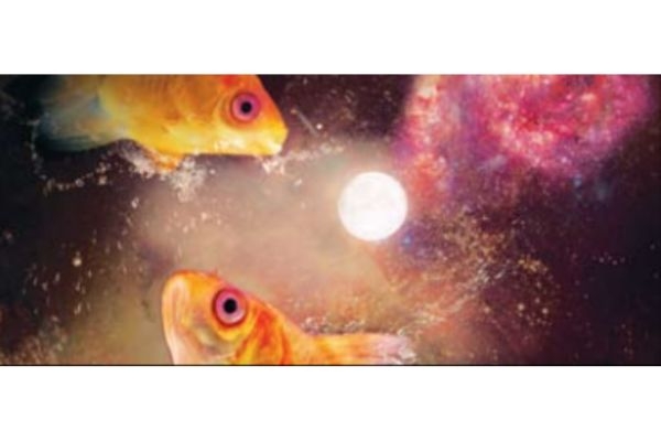fish-spawning