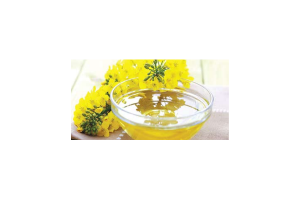 oil