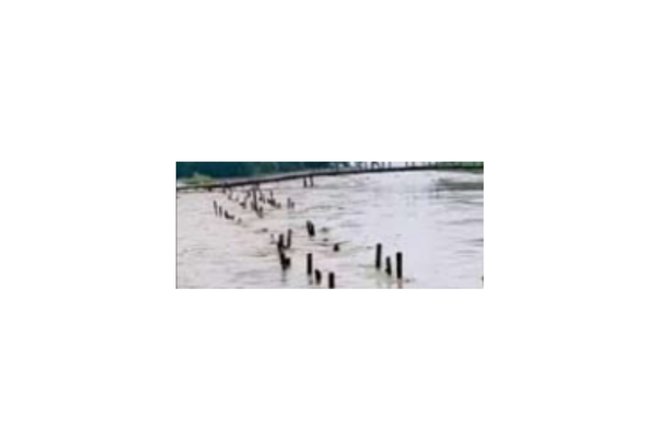 flood