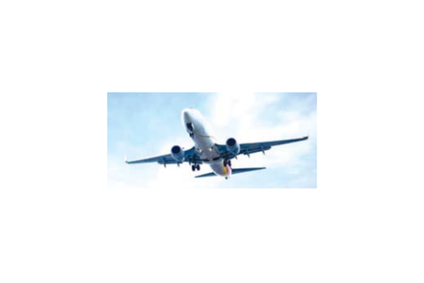 flight